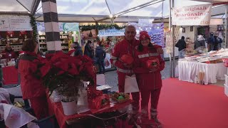 Al mercatino di San Nicola a Genova Natale fa rima con solidarietà [upl. by Allissa]