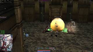 Lineage 2  Smashing Pumpkins with Hero Tyrant  Elmorelab Teon x1 C4 [upl. by Seko]