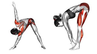 15 MIN FULL BODY MOBILITY WORKOUT  Follow Along 2024  The Mobility Manual [upl. by Arualana]