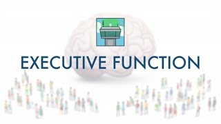 Executive Function [upl. by Oirrad]