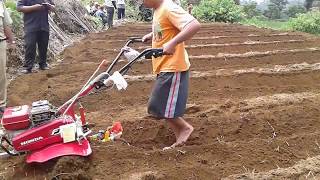 Cultivator Honda FJ500 berikut penggunaannya [upl. by Ihsorih]