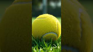 Andy Murray’s Epic Wimbledon Win A Nation Rejoices Shorts [upl. by Nhguavaj]