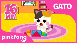 Canciones de Gatos  Bebé Gato y muchas más  Recopilación  Pinkfong Canciones Infantiles [upl. by Trellas]