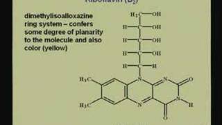 Lecture  19 Vitamins and Coenzymes II [upl. by Wini199]