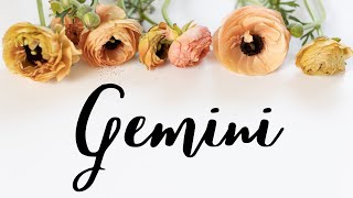 Gemini✨ Finally A Love You Can Trust But ✨You Vs Them [upl. by Perrie333]