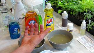 How to Make Soapy Water Garden Insect Sprays The Recipe Use amp Soap Selection  DIY Ep3 [upl. by Chicoine]