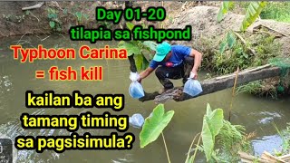 Paano magalaga ng tilapia earthpond setting ModernAgriculturre DiscoverAgriculture [upl. by Tjon]