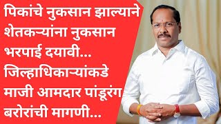 पावसामुळे पिकांचे नुकसान झाल्याने शेतकऱ्यांना तातडीने नुकसान भरपाई दयावी  पांडूरंग बरोरा [upl. by Tarfe]