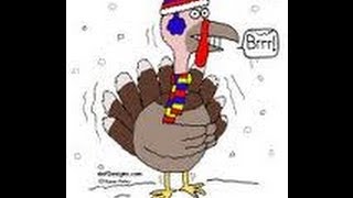 Cold Turkey funniest Thanksgiving song ever written amp performed by Bucky Habanero [upl. by Hebner]