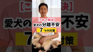 【これで解決】愛犬の分離不安を直す7つの方法dog 犬のしつけ 犬のいる暮らし [upl. by Stranger]