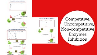 Competitive Uncompetitive amp Non Competitive Inhibition Explained Biochemical amp Bioprocess Engg [upl. by Llewop]