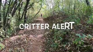 Cuyuna State Park MTB Sandhog Trail MN [upl. by Einalem]