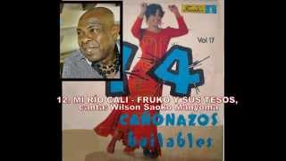 14 CAÑONAZOS BAILABLES VOLUMEN 17 DEL AÑO 1977 [upl. by Gnoud529]