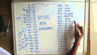 8085 Pin Diagram [upl. by Oilejor570]