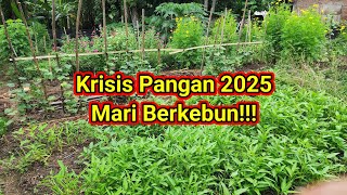 Cara Menghadapi Krisis Pangan 2025 Agar Bisa Bertahan [upl. by Vachill937]