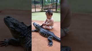 Cute baby playing with crocodile [upl. by Cappella]