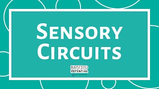 Sensory Circuits 1 [upl. by Ellenyl]