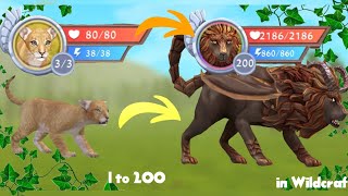 Wildcraft Level 1 to 200 lion [upl. by Havener]