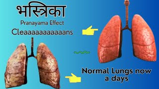 भस्त्रिका प्राणायाम  Bhastrika Pranayama [upl. by Niattirb]