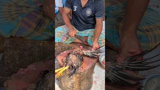 Amazing Special Desi Chicken Cutting Skills In Bangladesh Chicken Market 😱 shorts [upl. by Auop493]