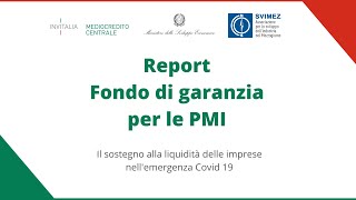 Report Fondo di garanzia per le PMI [upl. by Ralston]