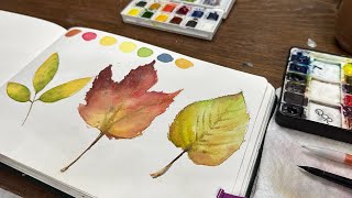 Watercolor Journal Day 142 Fall Leaves [upl. by Yasui959]