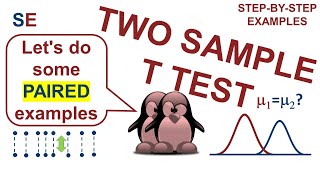 Paired two sample ttest  stepbystep examples [upl. by Adnilasor69]