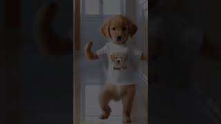 Dancing Dog Steals the Show 🕺🐶 dancechallenge trendingdance viraldance pettrend animalfun [upl. by Barabbas]