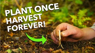 7 Easy Perennial Vegetables To Grow Harvest Year After Year 👩‍🌾 🧑‍🌾 [upl. by Egwan48]