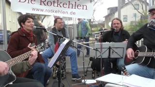 Die Rotkehlen  Miteinander  Live on Stage  Zupfgeigenhansel  Cover  Tag der Erde  Kassel [upl. by Otina]