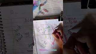 Human Heart  Blood Flow biology circulatorysystem bloodcirculation [upl. by Analram]