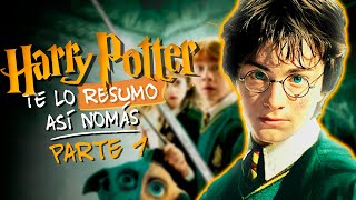 La Saga De Harry Potter Parte Uno  TeLoResumo [upl. by Danyelle]