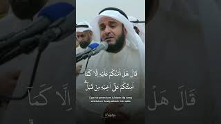 Beautiful Quran Recitation [upl. by Yelyak189]