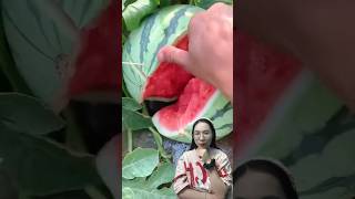 Break watermelon with Toothpick Hack [upl. by Aenaj]