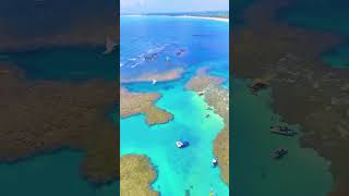 Pacote Porto de Galinhas ou Maragogi  Voo  All Inclusive  2025 [upl. by Lucchesi]