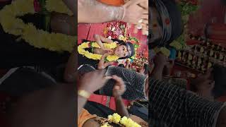 Gallu Gallu gajalamotha Ayyappa song ayyappa [upl. by Leanahtan709]