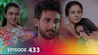 Jaanu  Episode 433  20241022  ITN [upl. by Nahaj]