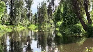 Lago de Xochimilco [upl. by Antonia428]