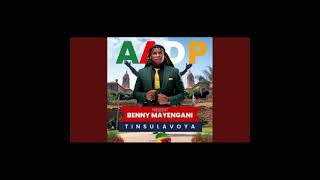 Benny Mayengani Tinsulavoya [upl. by Airrehs]