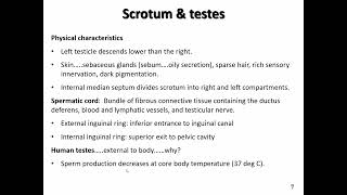 BIOL 201 Reproductive system slides 5 9 [upl. by Elatnahc748]