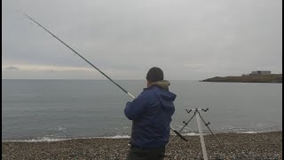 Holyhead Club Match  Cemlyn  Anglesey Beach Fishing [upl. by Essilrahc]