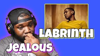 Labrinth  Jealous Official Video  Reaction [upl. by Ecnarual537]