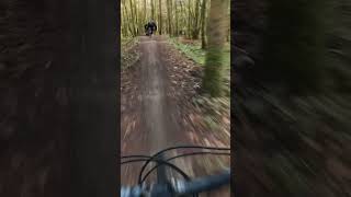 Calmest crash into a tree 😭bike mtb youtubeshorts mountainbike fail crash fyp [upl. by Nannaihr629]