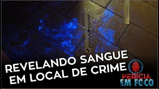 Revelando sangue em local de crime com o Luminol de CSI  Perícia Em Foco [upl. by Tlevesoor]