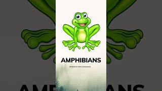 What are Amphibians Learn about Vertebrate animals  Natural Science For Kids kidzncrew animals [upl. by Chobot121]