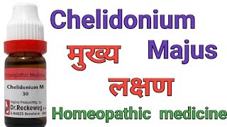 Chelidonium Majus q homeopathic medicine symptoms amp uses in hindi [upl. by Ramirolg]