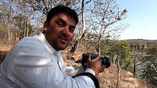 Ep 19  Deogarh Jain Temple and Mahaveer Swami Wildlife Sanctuary Deogarh Lalitpur Uttar Pradesh [upl. by Sigsmond304]