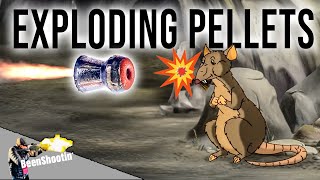 Pesting will NEVER be the Same  Packrats VS Exploding Pellets [upl. by Ecnerwaled916]