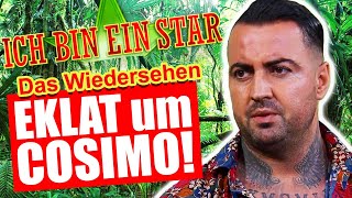 Dschungelcamp 2023 DRAMA um COSIMO beim Wiedersehen Gewinnspiel [upl. by Olnek574]