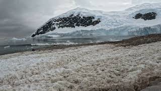 Glacier Calving [upl. by Marilee551]